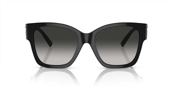 TF4216 Black/Grey Gradient XL