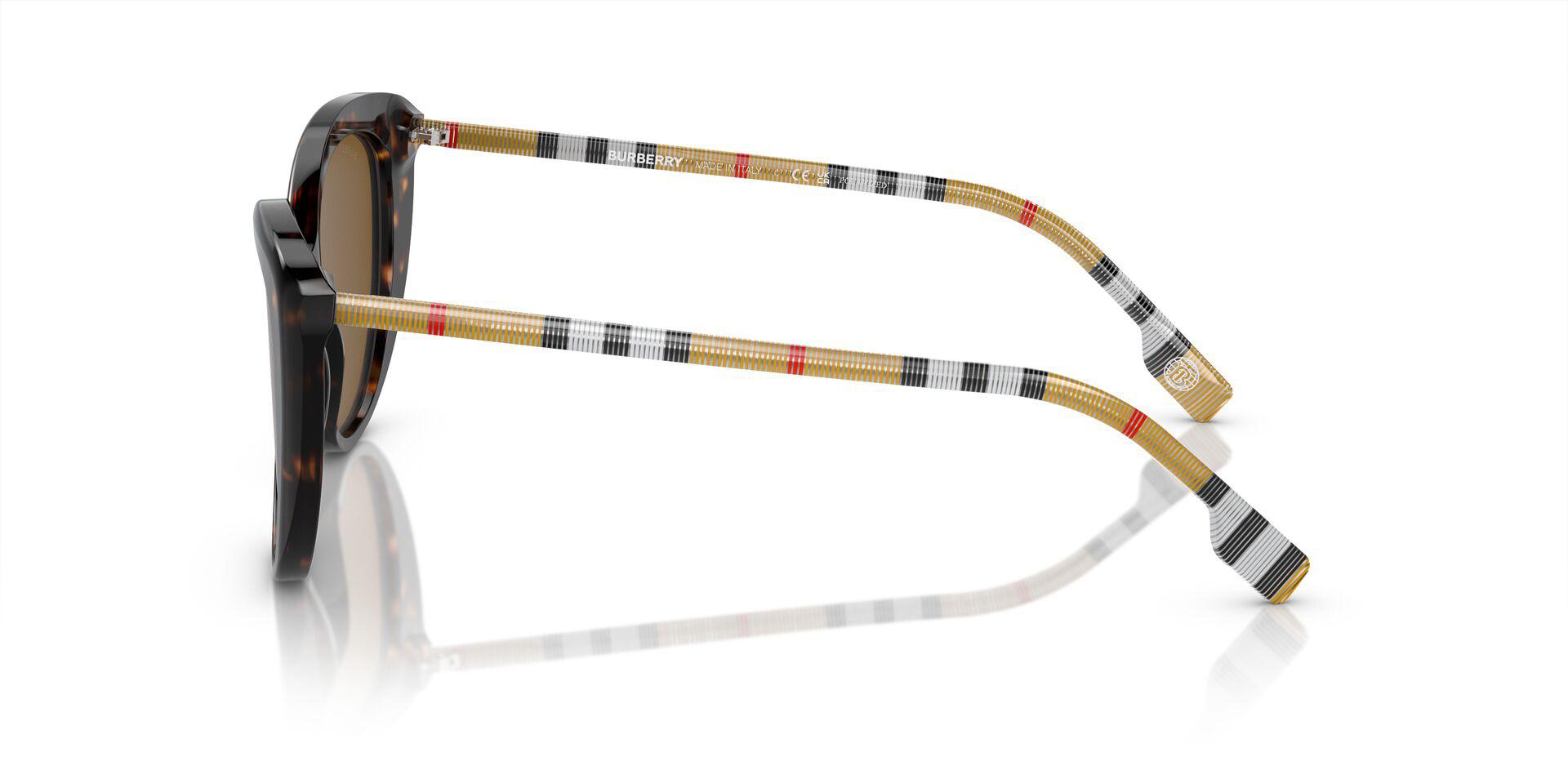 BE4407 بني/بني قطبي/مستقطب M