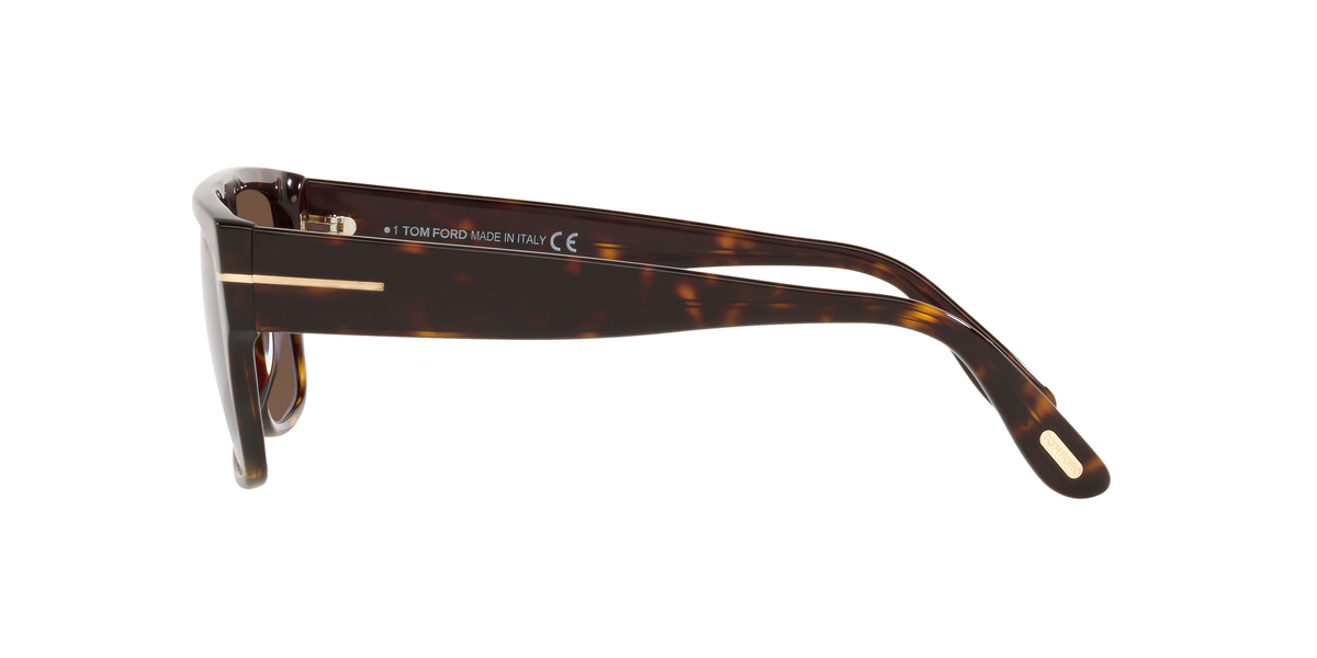 TR001363 Tortoise/Brown