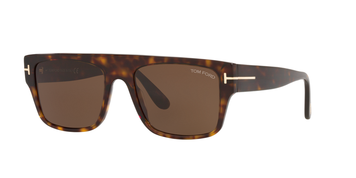 TR001363 Tortoise/Brown