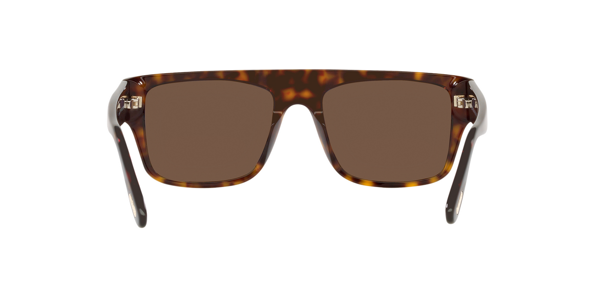 TR001363 Tortoise/Brown