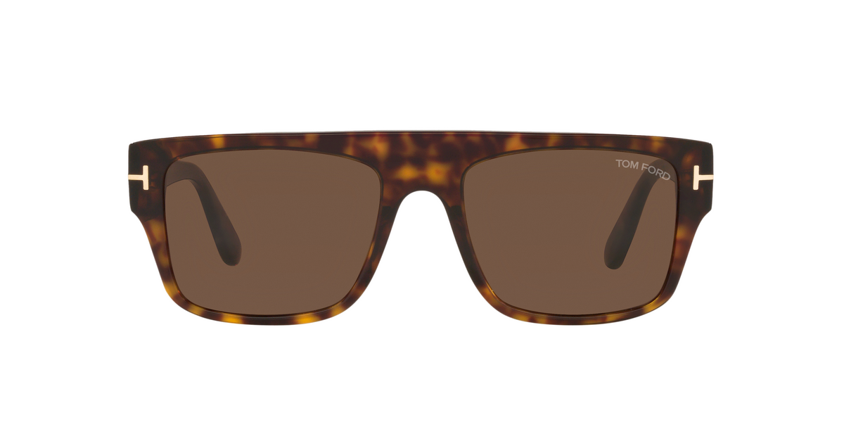 TR001363 Tortoise/Brown